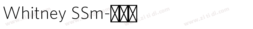 Whitney SSm字体转换